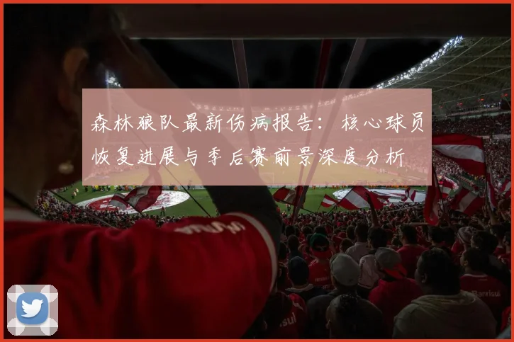 森林狼队最新伤病报告:核心球员恢复进展与季后赛前景深度分析