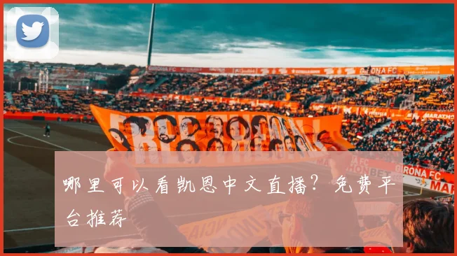 哪里可以看凯恩中文直播?免费平台推荐