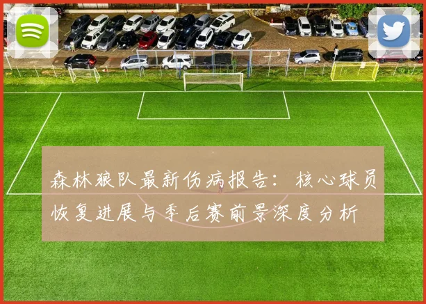 森林狼队最新伤病报告：核心球员恢复进展与季后赛前景深度分析